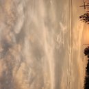 읍내맥주 이미지