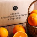 더청정한(The청정한) 이미지