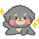 해피애견하우스 이미지