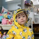 보물섬아동복 이미지