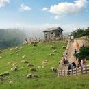 의식목장 이미지