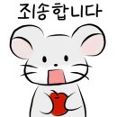 원더스카이 이미지