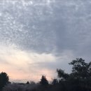 맵수다제대점 이미지