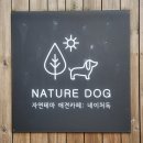 아잉독 애견카페 | 양주시 네이처독 후기｜서울 근교 애견카페와 운동장, 강아지가 제일 좋아했던 곳