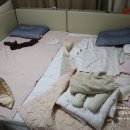 용인 매트리스청소 비치움필승스마트홈케어 퀸사이즈 케어 건조시간