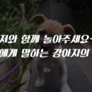 텐드(TEND)