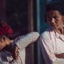 금상첨화 이미지