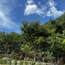 지리산자연애펜션 이미지