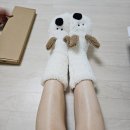 브라운짐 | 강화도 캠핑장 | 또또간집 브라운캠핑장, 겨울 캠핑 명당자리추천 사이트 4번 이용후기