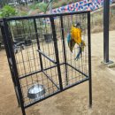 미래목장 | [가을 여행] 25년 10월 가평 양떼목장 솔직 후기: 친구들과 다녀온 힐링 나들이