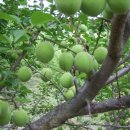 김양규한의원 이미지