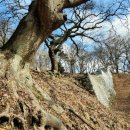 백제행정사사무소 이미지