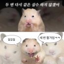 경원건설(주) | 종강일기 (1/13-19)