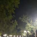 미스터빠삭 이미지