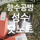 향수식당 | 성수 향수공방 닷노트 후기 | 나만의 향을 만드는 시간