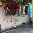나비노래연습장 교동점 | 나비는 바다를 꿈꿨죠 흰 파도 위로 날고 싶었죠