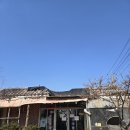일영해장국 | 경기도 장흥 유원지 현지인 맛집 일영양평해장국 내돈내산 후기