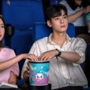 펫미인 이미지