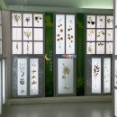 허브밸리(암석원) 이미지