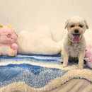 멍플레이 이미지