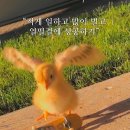 사랑을 담아 - ❥