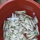 시장건강원 이미지