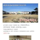가창초등학교 앞 이미지