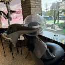 여름필수 헤드스파 솔직후기(w.신비실장님) 신림동미용실 | 헤어더뷰 신림점