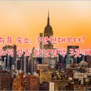 아트민박 | 뉴욕 숙소 고민 끝! | 조식 무료 |한인민박 3대장|내 취향대로 골라봐!