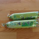 자연과 사람들 이미지