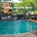 곰골산촌 | 광양계곡 닭구이, 수영장과 함께하는 펜션 곰골산촌