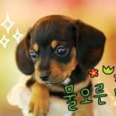 오케이판매업 이미지