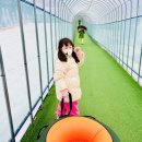 알프스마을 | 청양알프스마을 후기 청양 눈썰매장