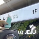 울산고양이분양 도레미캣 이미지
