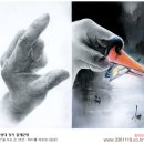 디자인술 Daum카페