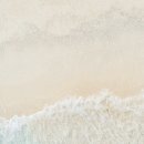 (주)돼지와 건강 이미지