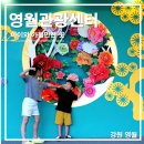 군산먹거리통합지원센터 군산로컬푸드복합센터 | 영월 실내 놀거리 영월관광센터 아이랑 방문 후기 꿀잼 강원도 여행지 추천