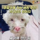 미소주유소 이미지