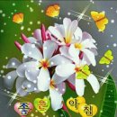 3월21일뉴스브리핑&amp;철강왕 박태준 이미지