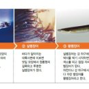 풍천장어 이미지
