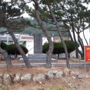 방석2리경로당 Daum카페