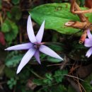 지리산털보농원 이미지