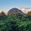 오늘나의정원 이미지