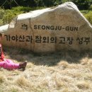 고산자로 이미지