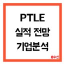 PTL Inc (PTLE) 주가 전망, 기업 분석 - 하루 84% 폭등한 해상 연료 물류 기업의 충격적 변화