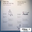 일상, 삼청동나들이 - 블루보틀, 국립현대미술관, 광화문 고디바(with. 대구근대골목단팥빵)