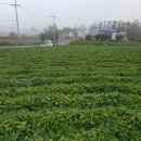 상옥농장2 이미지