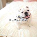 아임2스튜디오 이미지
