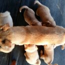 나무네농장 이미지