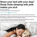 애완동물과 한 침대를 쓴다면 샤가스병과 고양이 발톱병에 주의하자 이미지